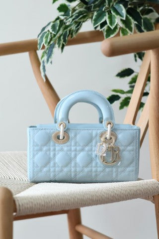 Ladies Dior bags Lilly Onlines