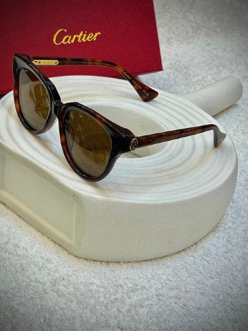 Men sunglasses Lilly Onlines