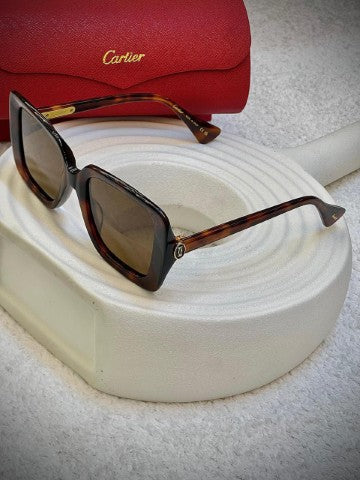 Men sunglasses Lilly Onlines