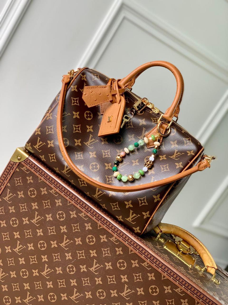 Ladies Lv bags Lilly Onlines