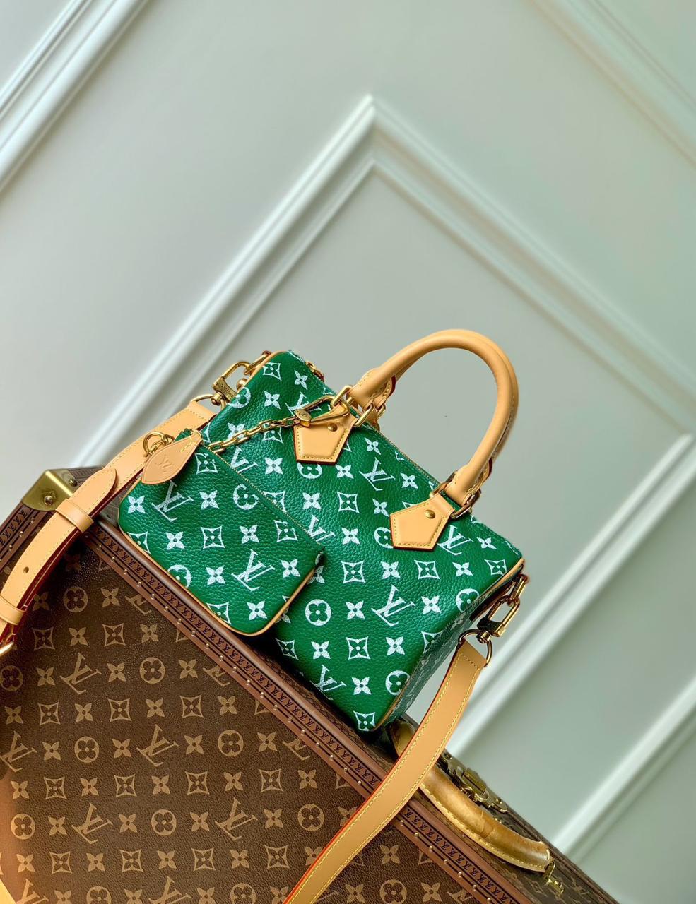 Ladies Lv bags Lilly Onlines