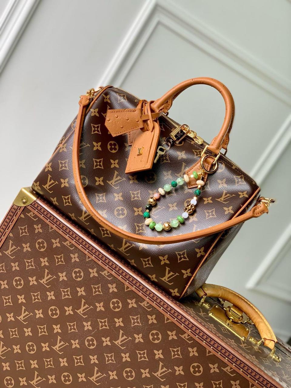 Ladies Lv bags Lilly Onlines