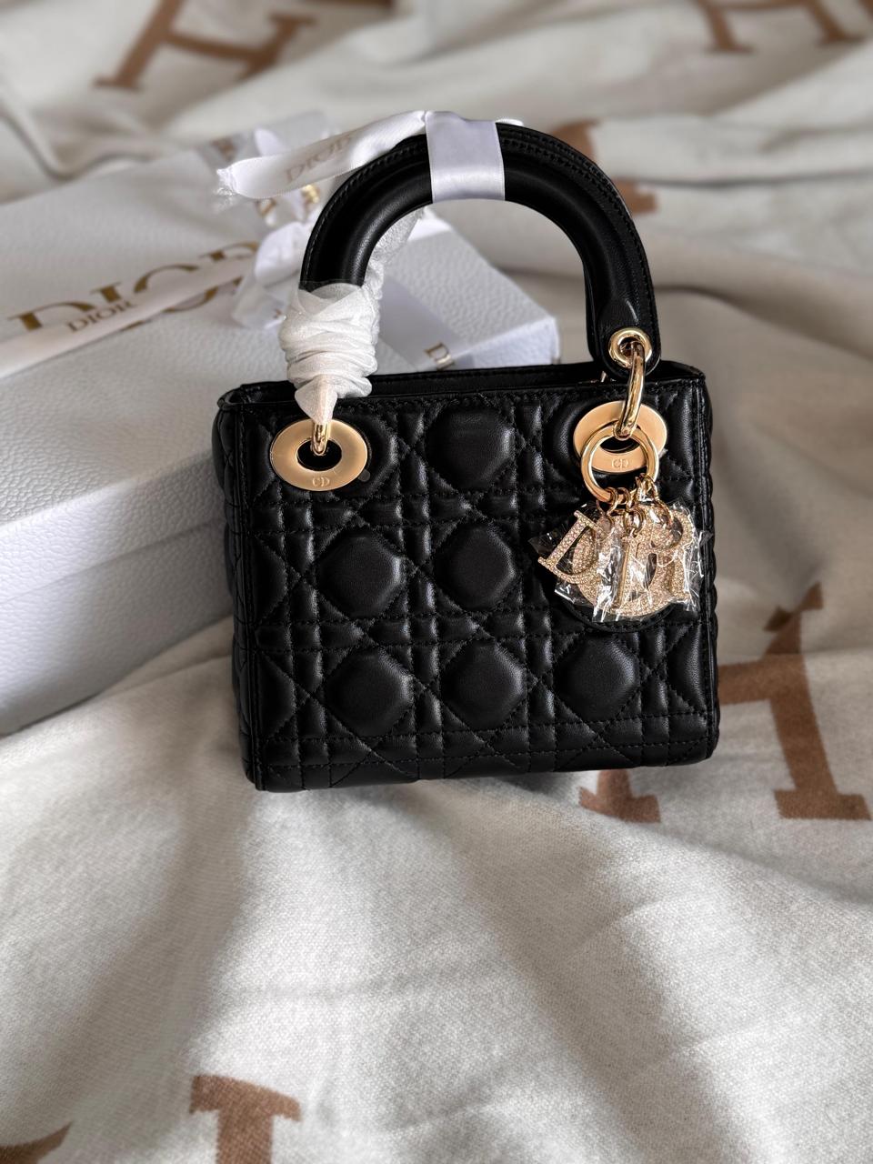 Ladies Dior bags Lilly Onlines