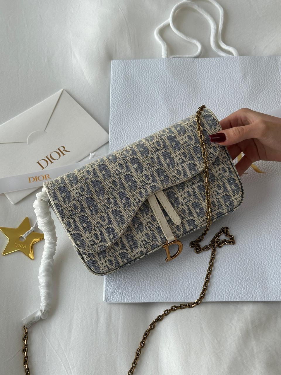Ladies Dior bags Lilly Onlines