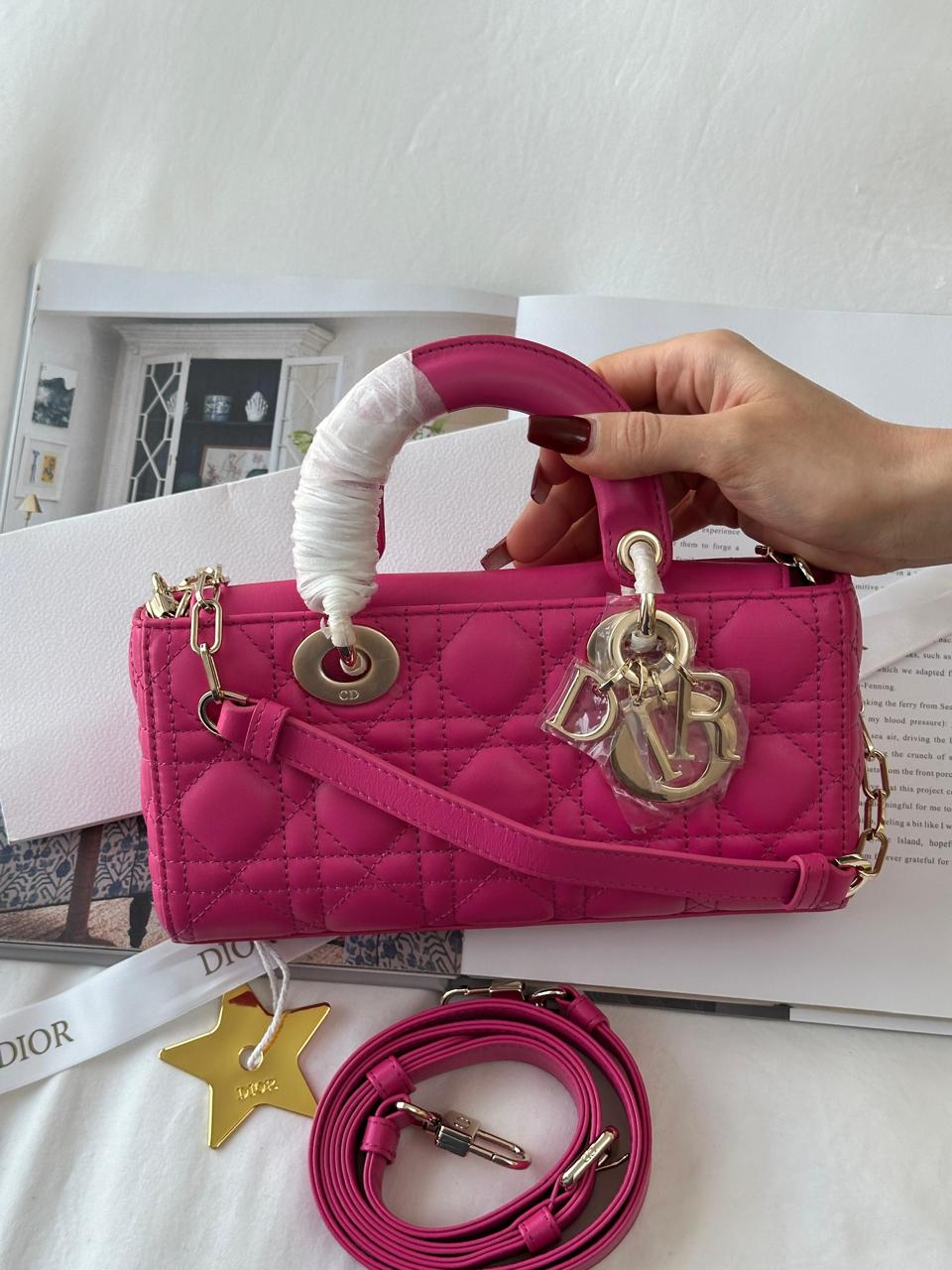 Ladies Dior bags Lilly Onlines