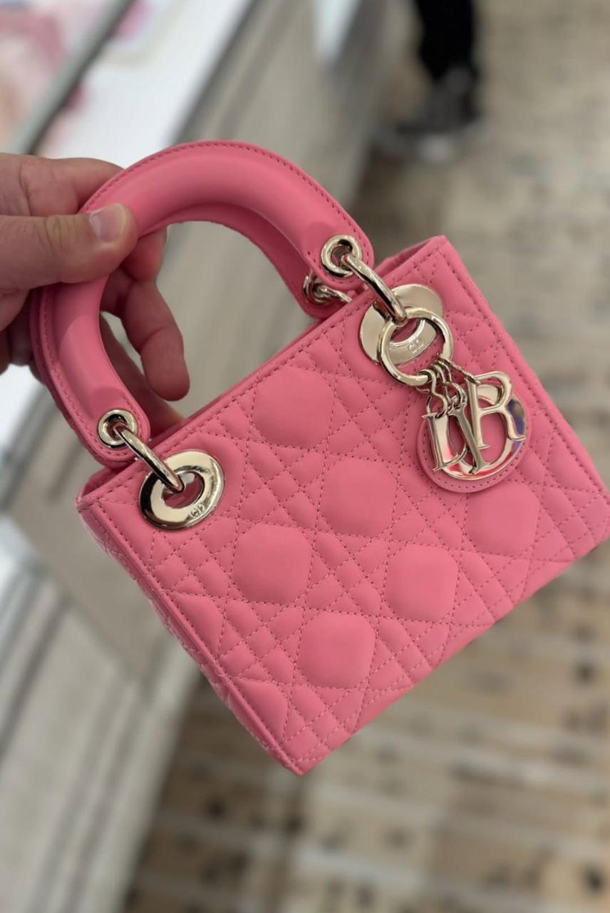 Ladies Dior bags Lilly Onlines