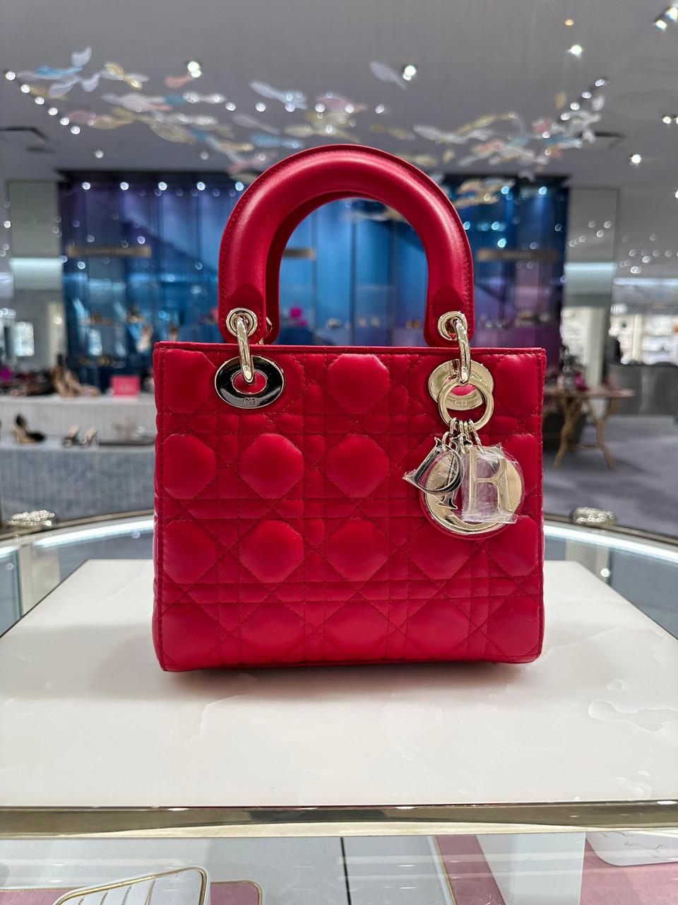 Ladies Dior bags Lilly Onlines