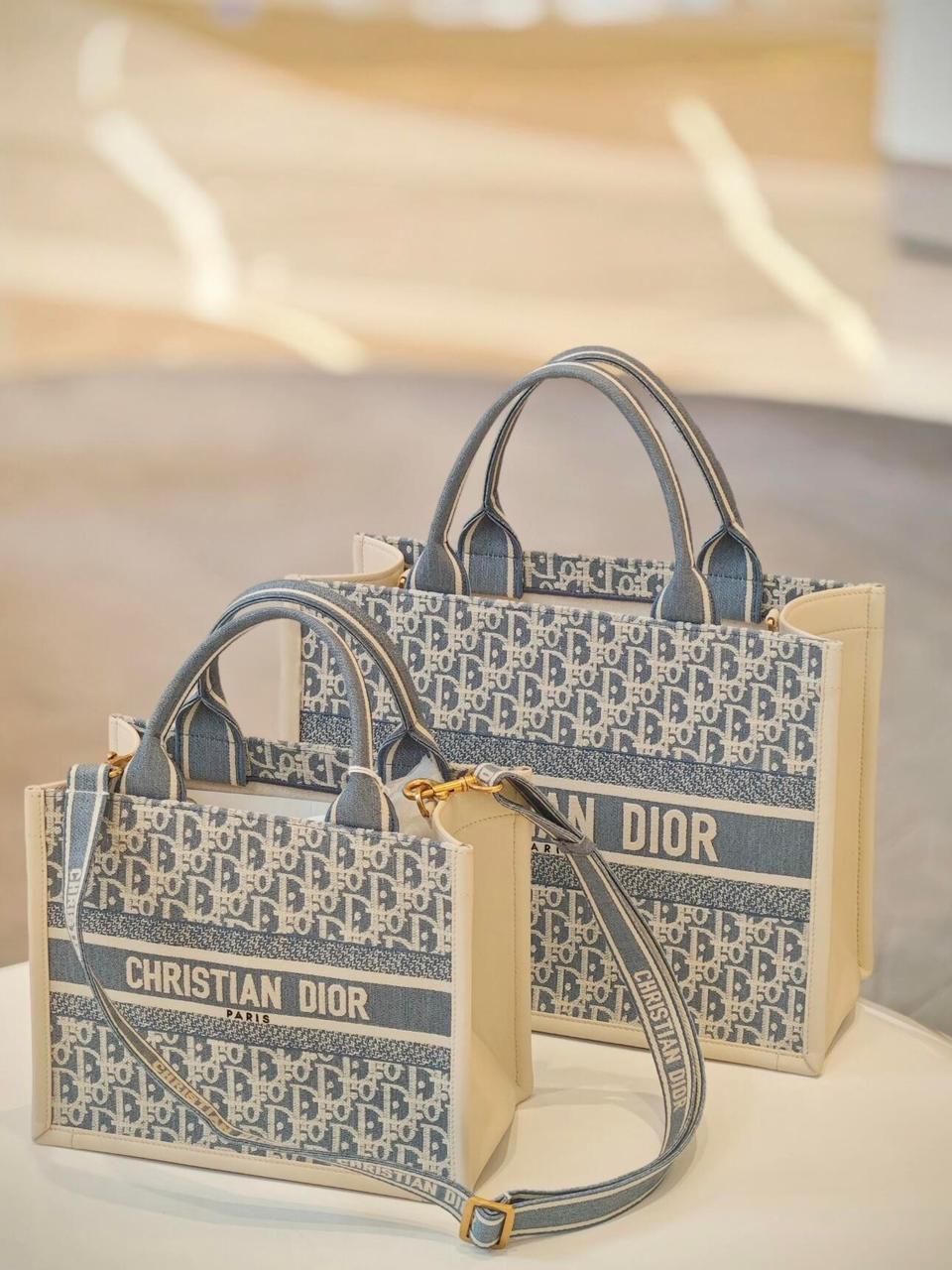Ladies Dior bags Lilly Onlines