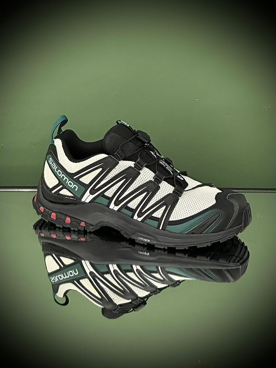Men shoes Lilly Onlines
