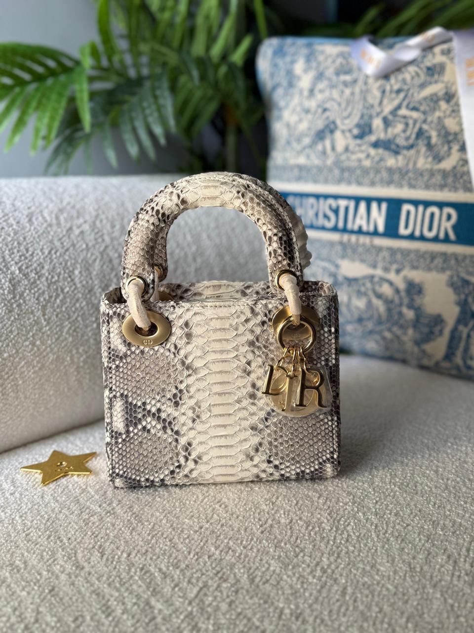 Ladies Dior bags Lilly Onlines