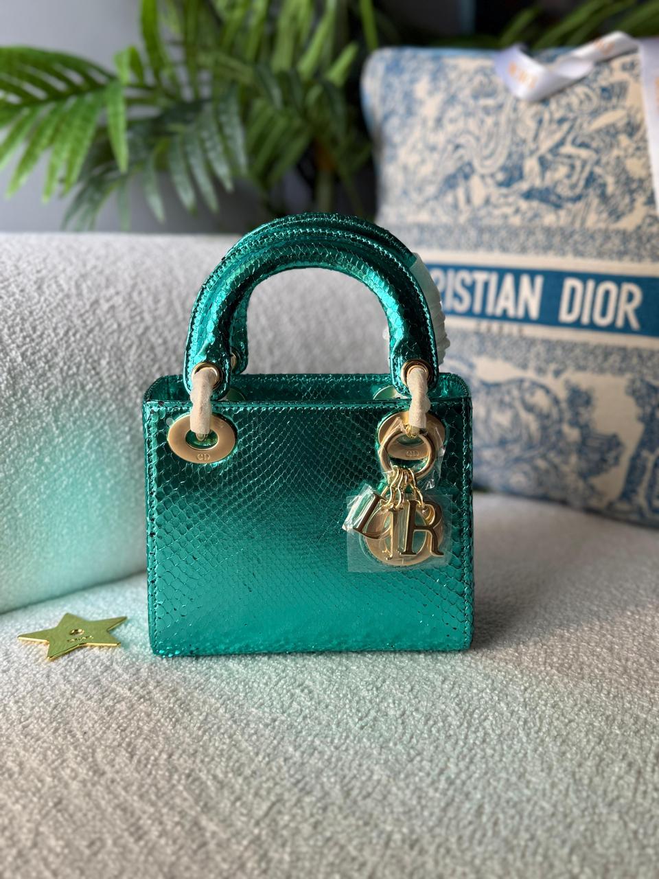 Ladies Dior bags Lilly Onlines