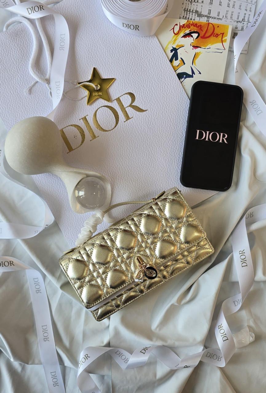 Ladies Dior bags Lilly Onlines