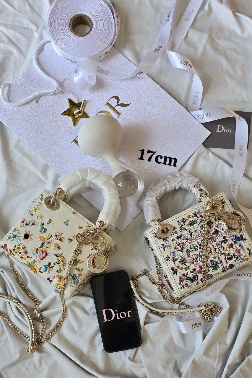 Ladies Dior bags Lilly Onlines