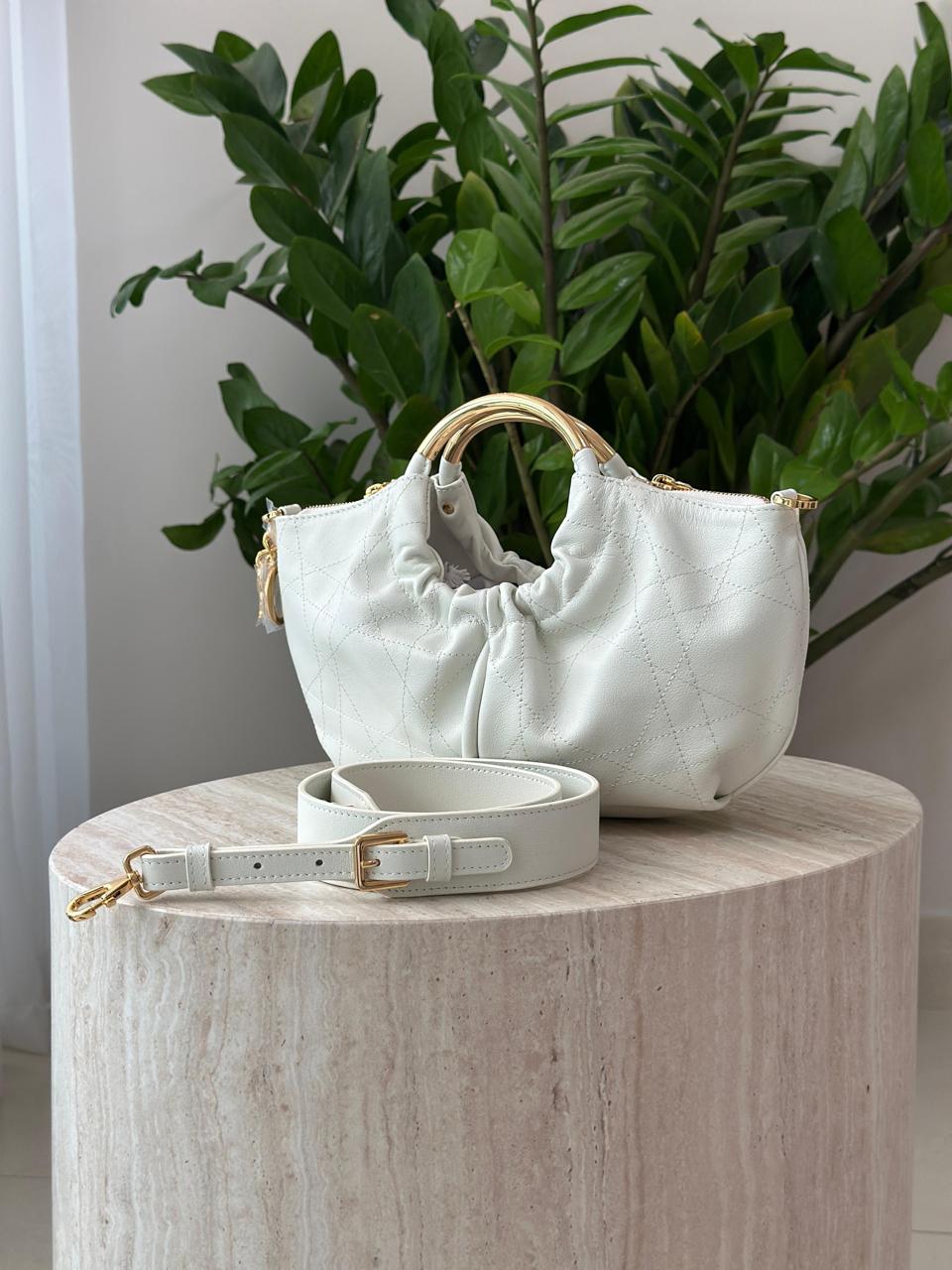 Ladies Dior bags Lilly Onlines