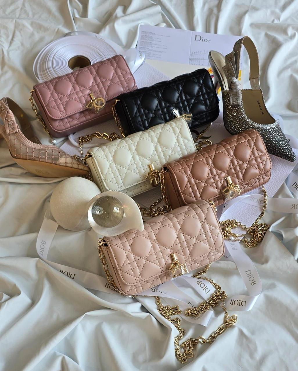 Ladies Dior bags Lilly Onlines