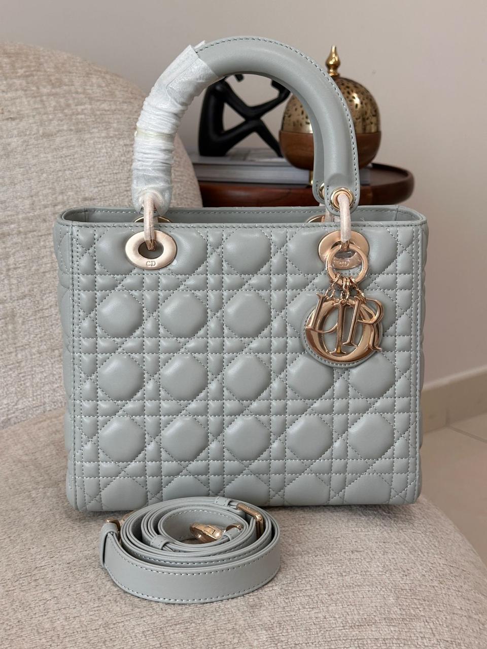 Ladies Dior bags Lilly Onlines