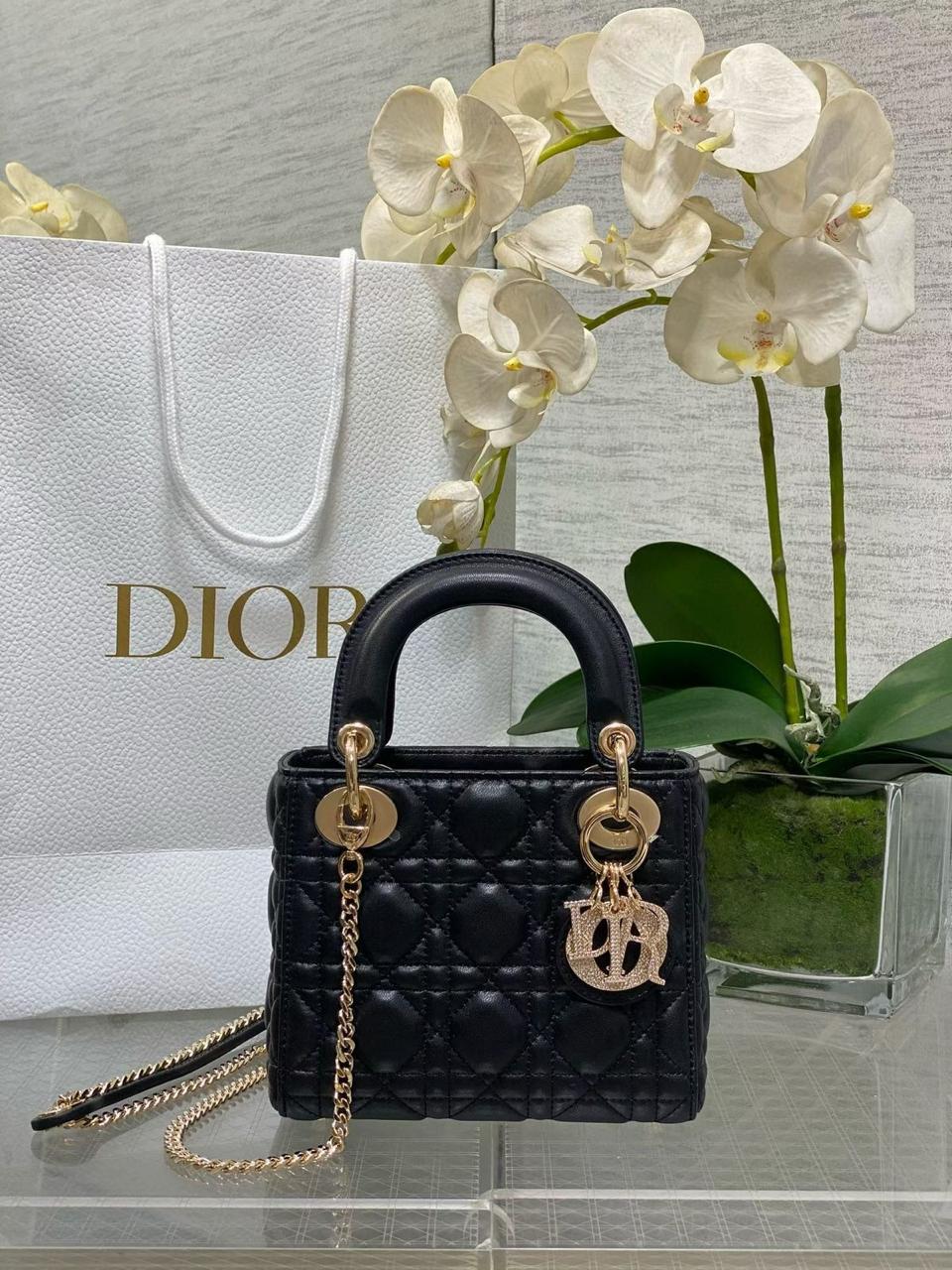 Ladies Dior bags Lilly Onlines