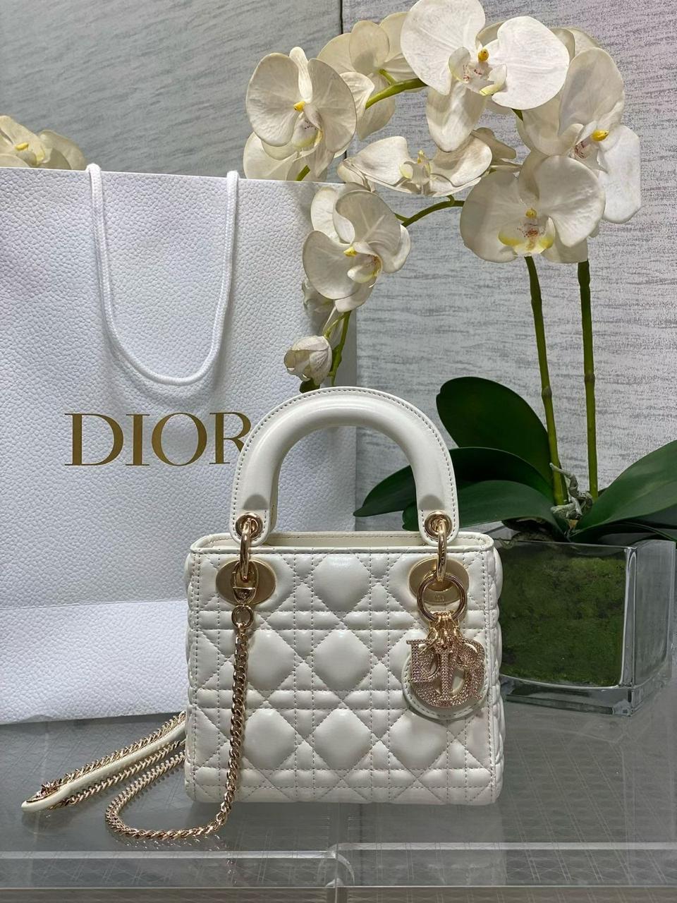 Ladies Dior bags Lilly Onlines