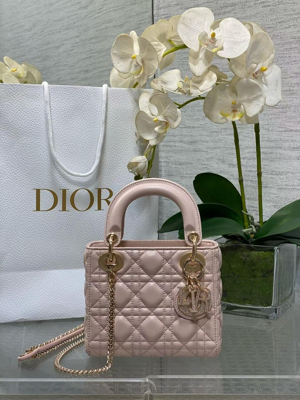 Ladies Dior bags Lilly Onlines