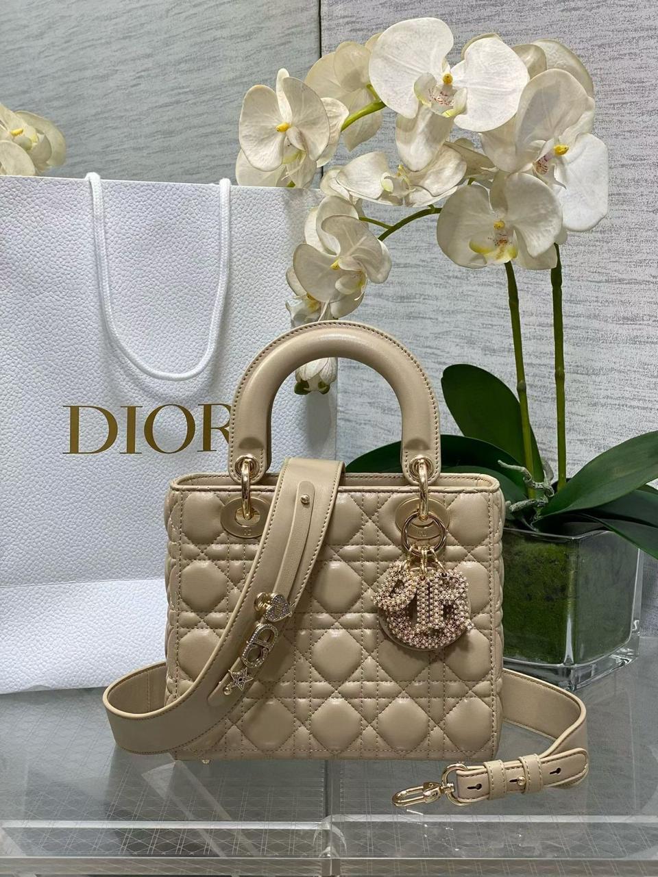 Ladies Dior bags Lilly Onlines