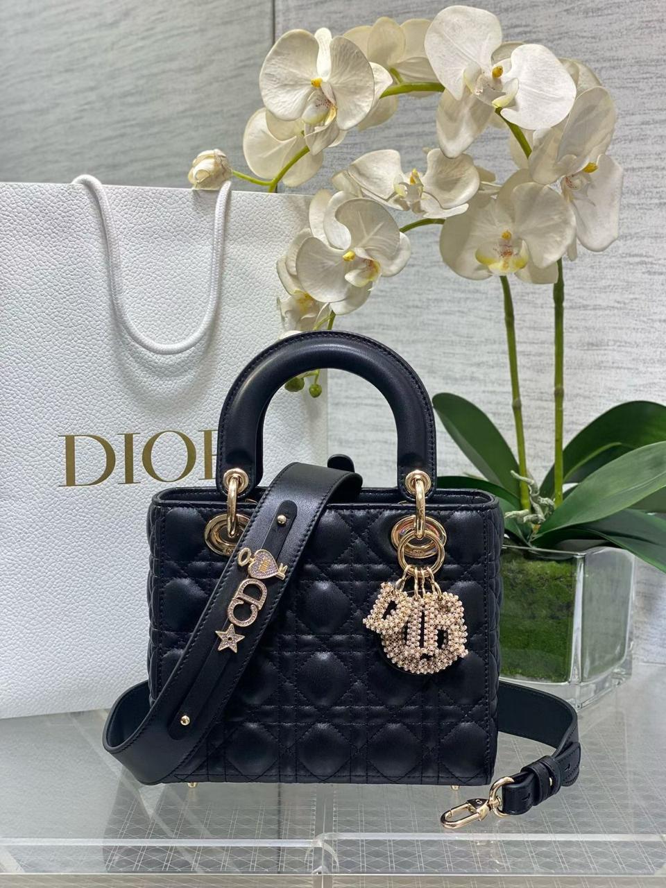 Ladies Dior bags Lilly Onlines