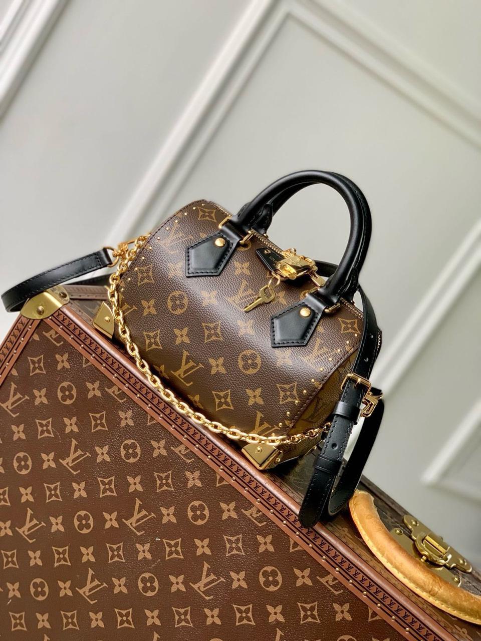 Ladies Lv bags Lilly Onlines