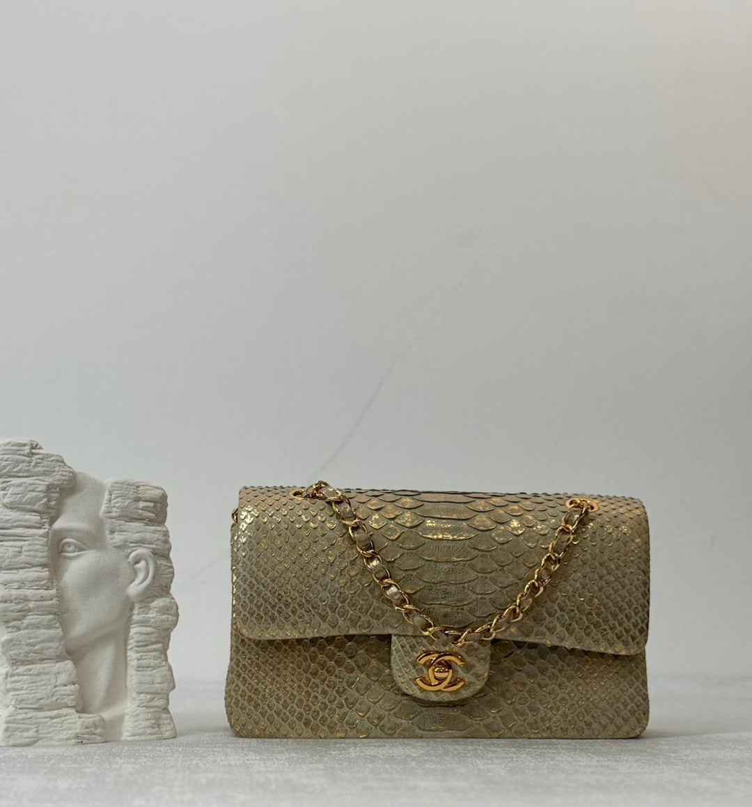 Ladies Chanel bags Lilly Onlines