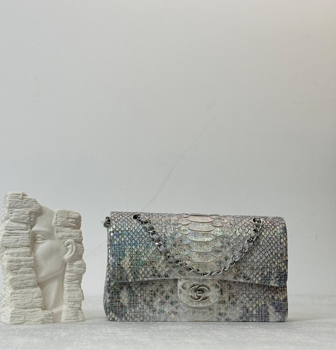 Ladies Chanel bags Lilly Onlines