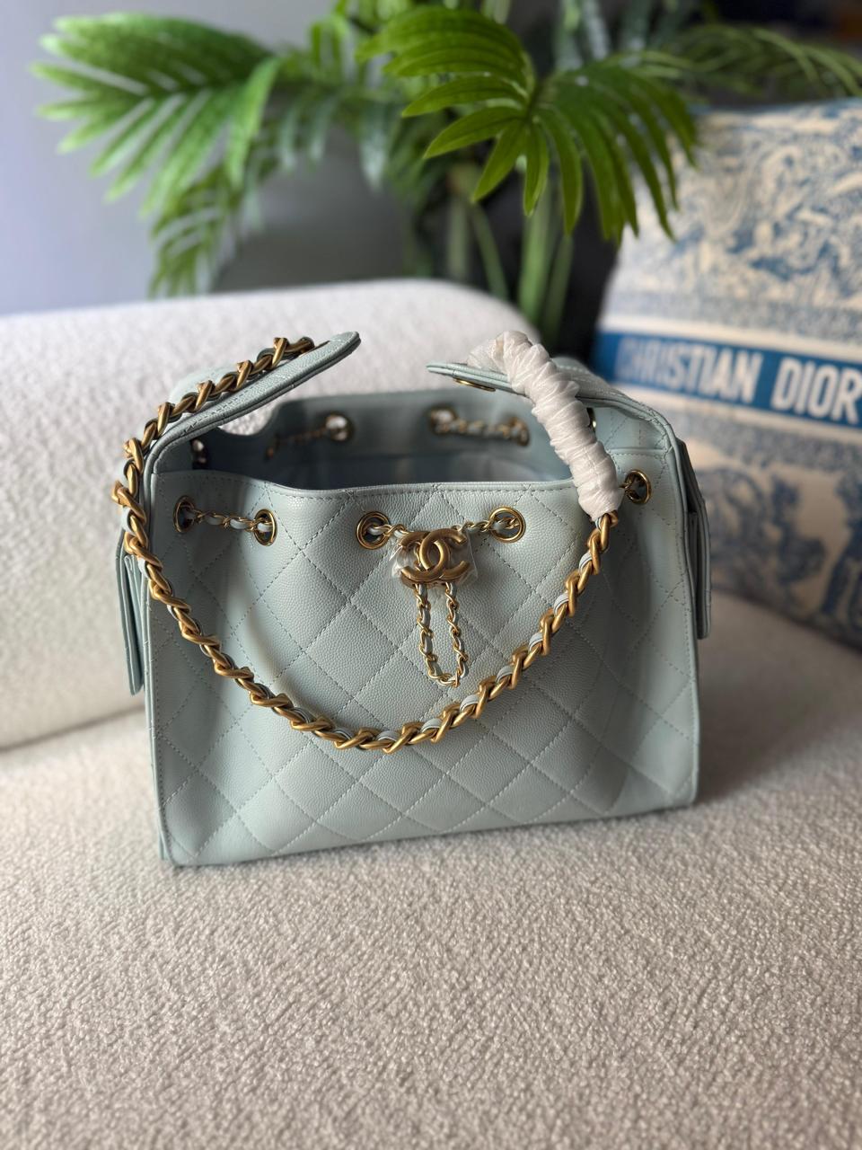 Ladies Chanel bags Lilly Onlines