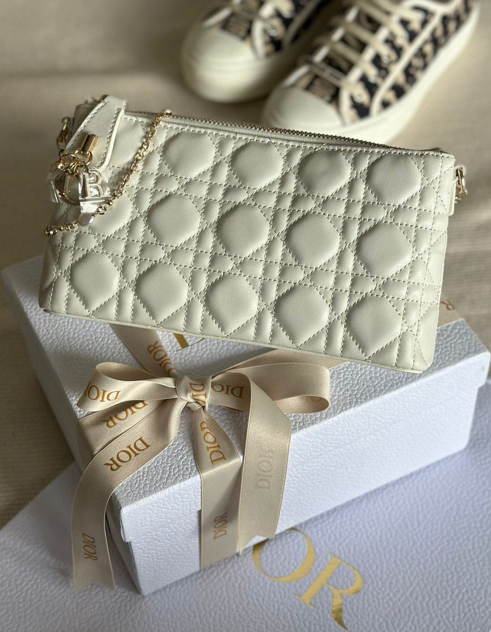 Dior Bags Lilly Onlines