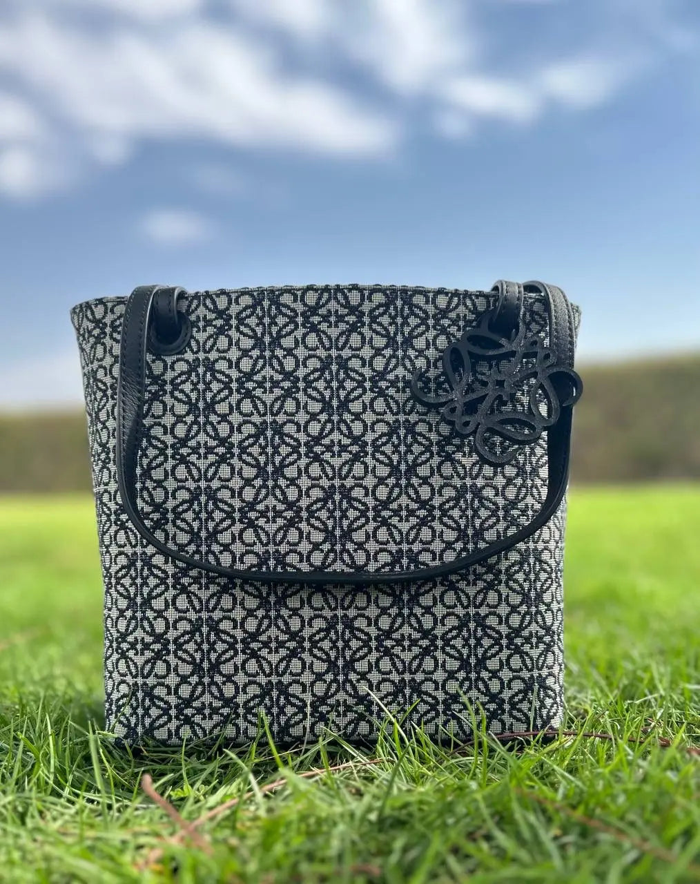 Loewe bag Lilly Onlines
