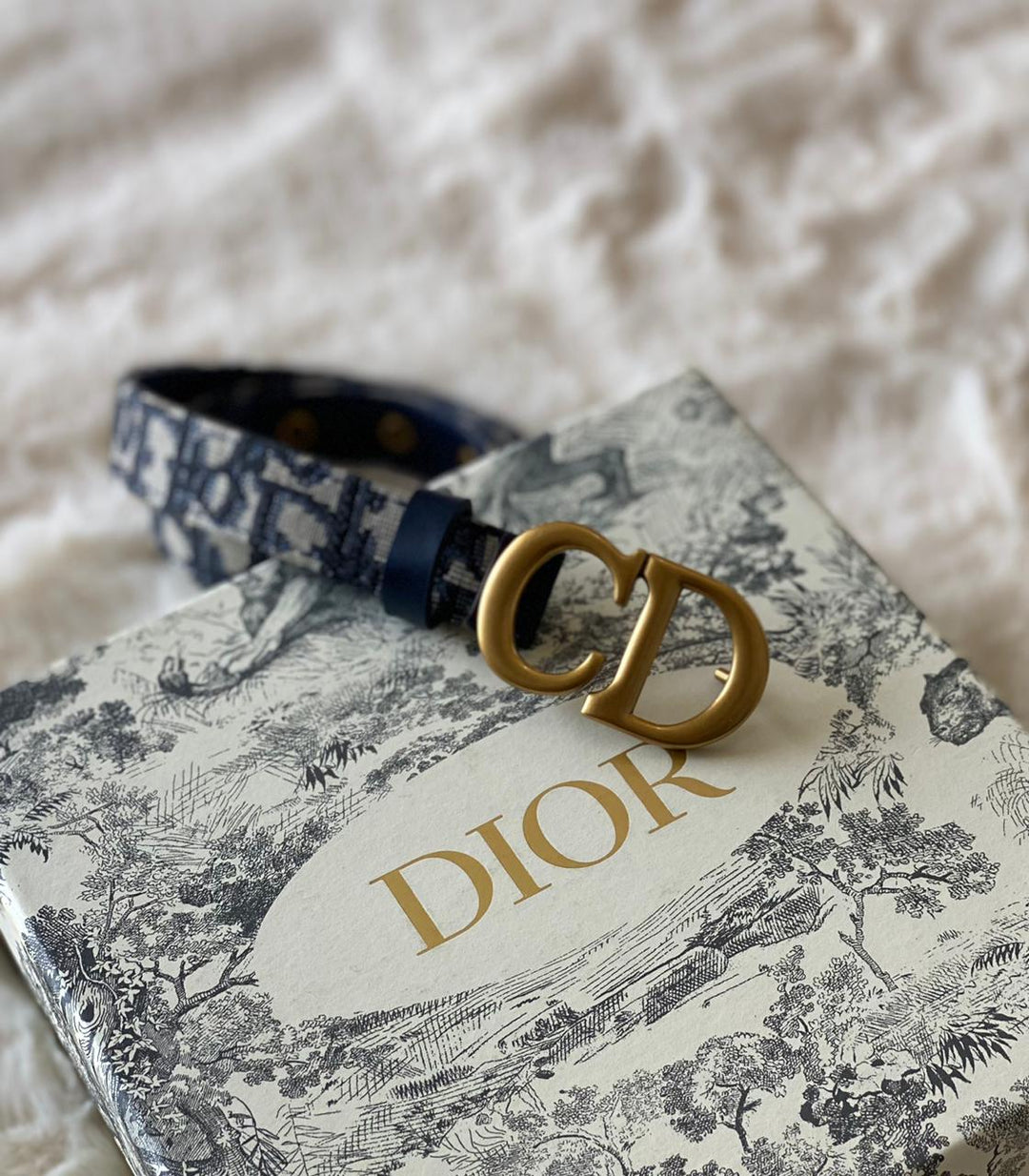 ladies belts Lilly Onlines