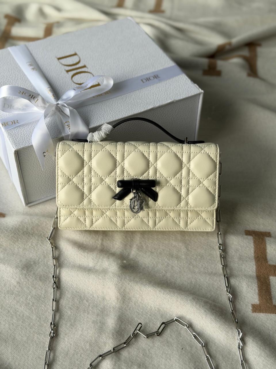 Ladies Dior bags Lilly Onlines