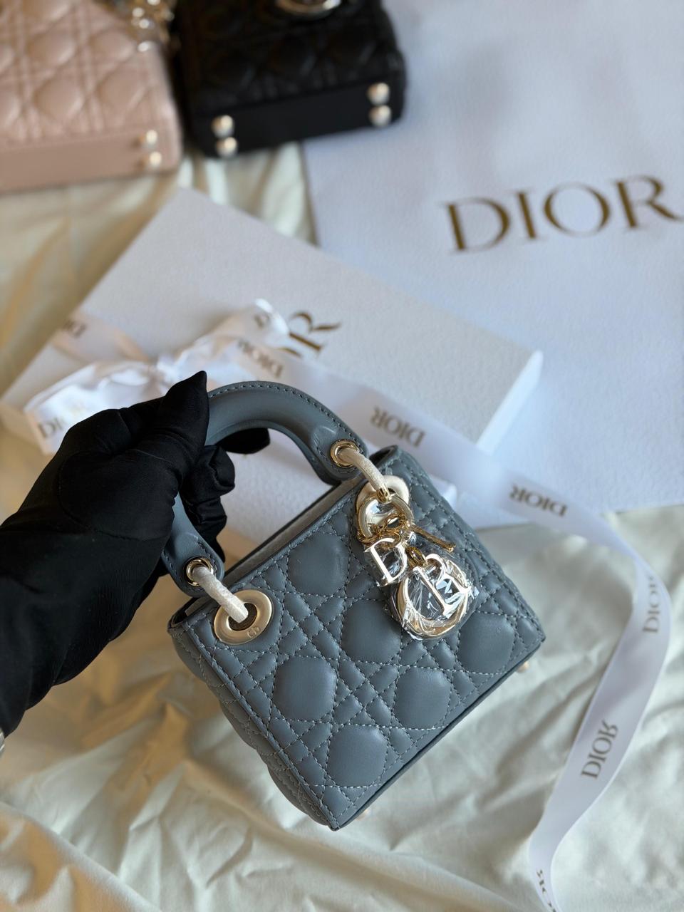 Ladies Dior bags Lilly Onlines