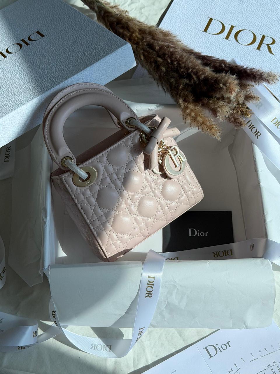 Ladies Dior bags Lilly Onlines