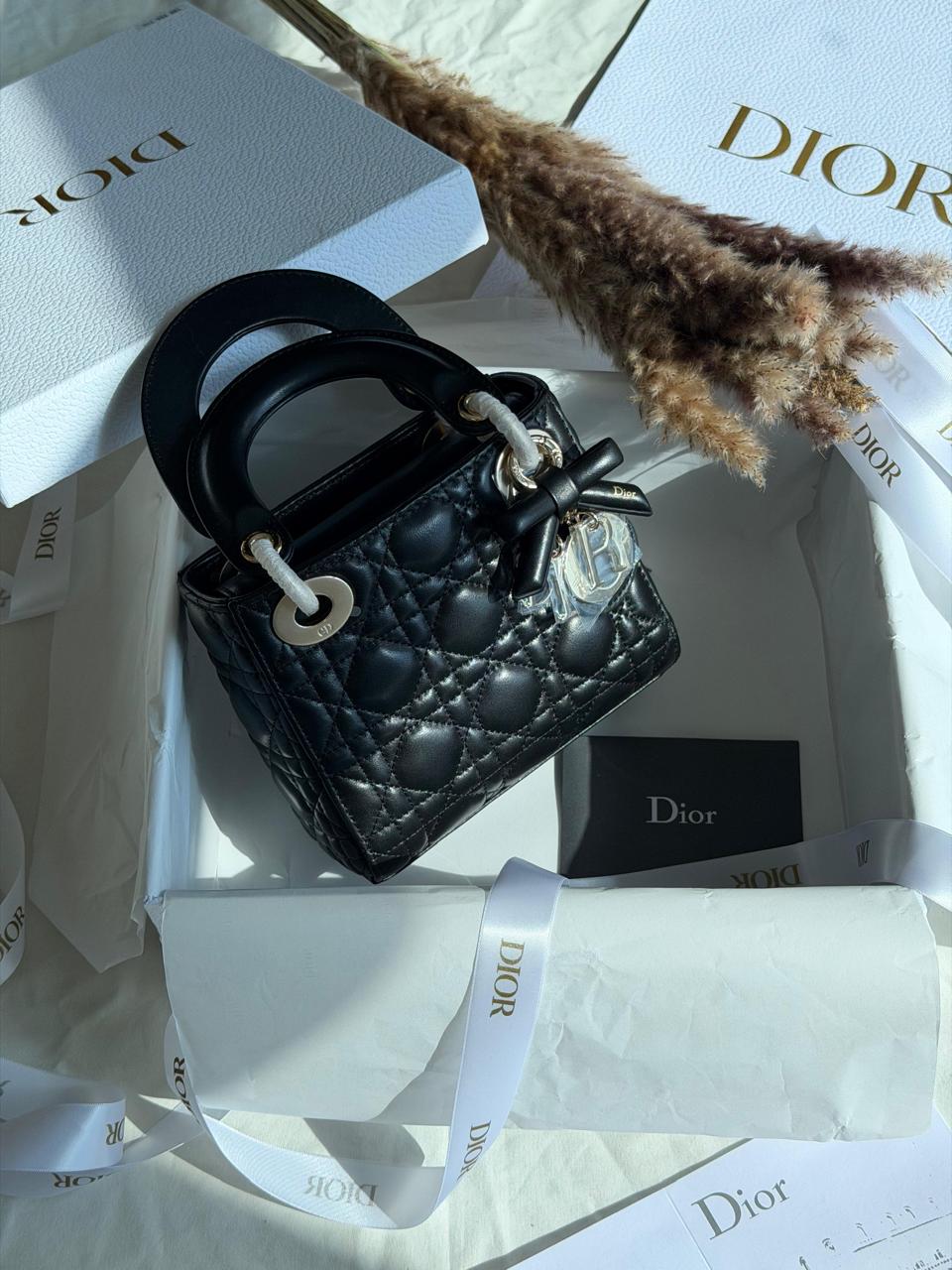 Ladies Dior bags Lilly Onlines