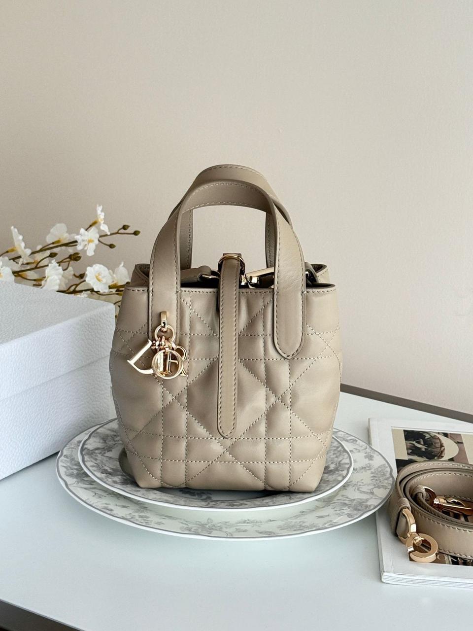 Ladies Dior bags Lilly Onlines