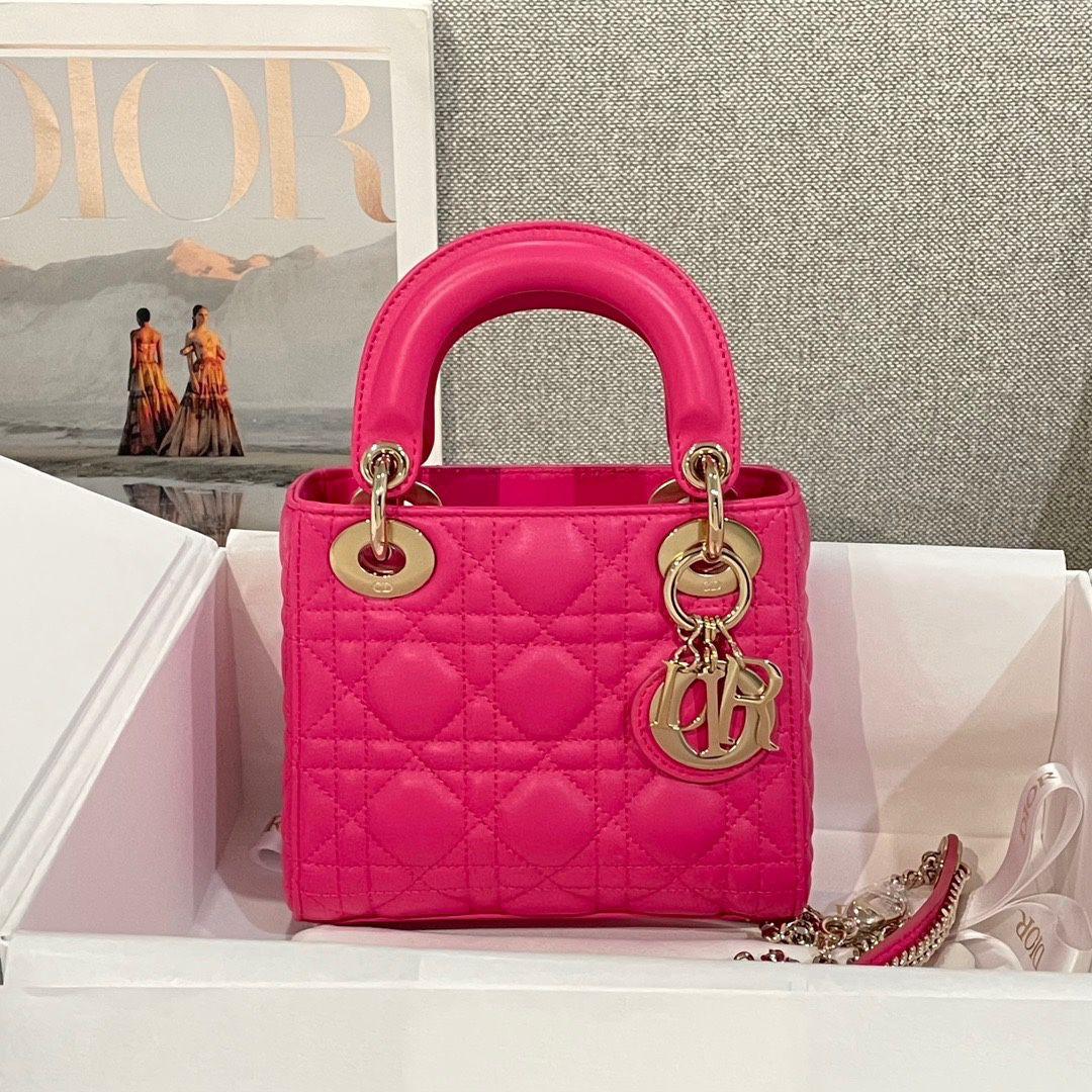 Ladies Dior bags Lilly Onlines