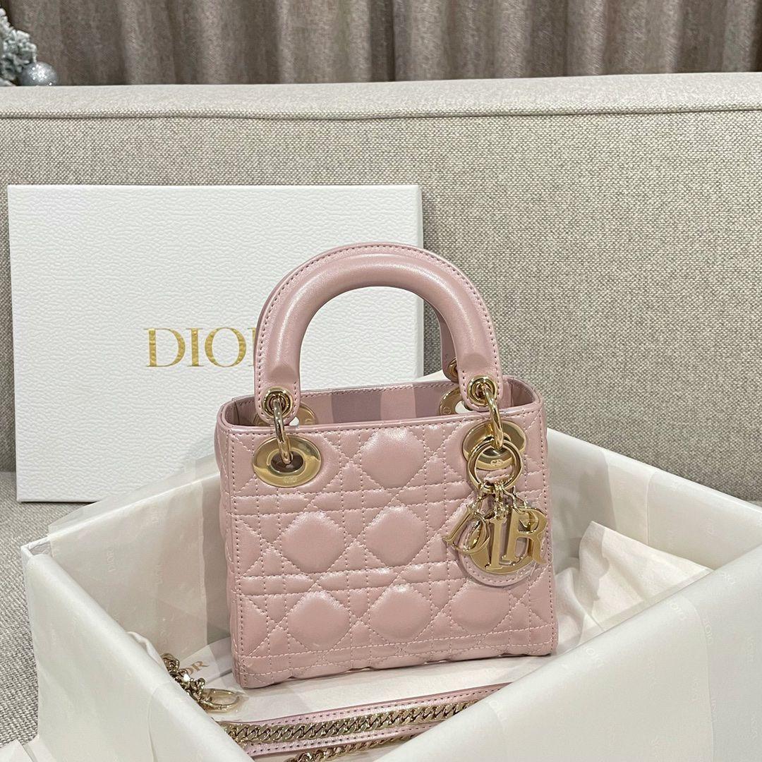 Ladies Dior bags Lilly Onlines