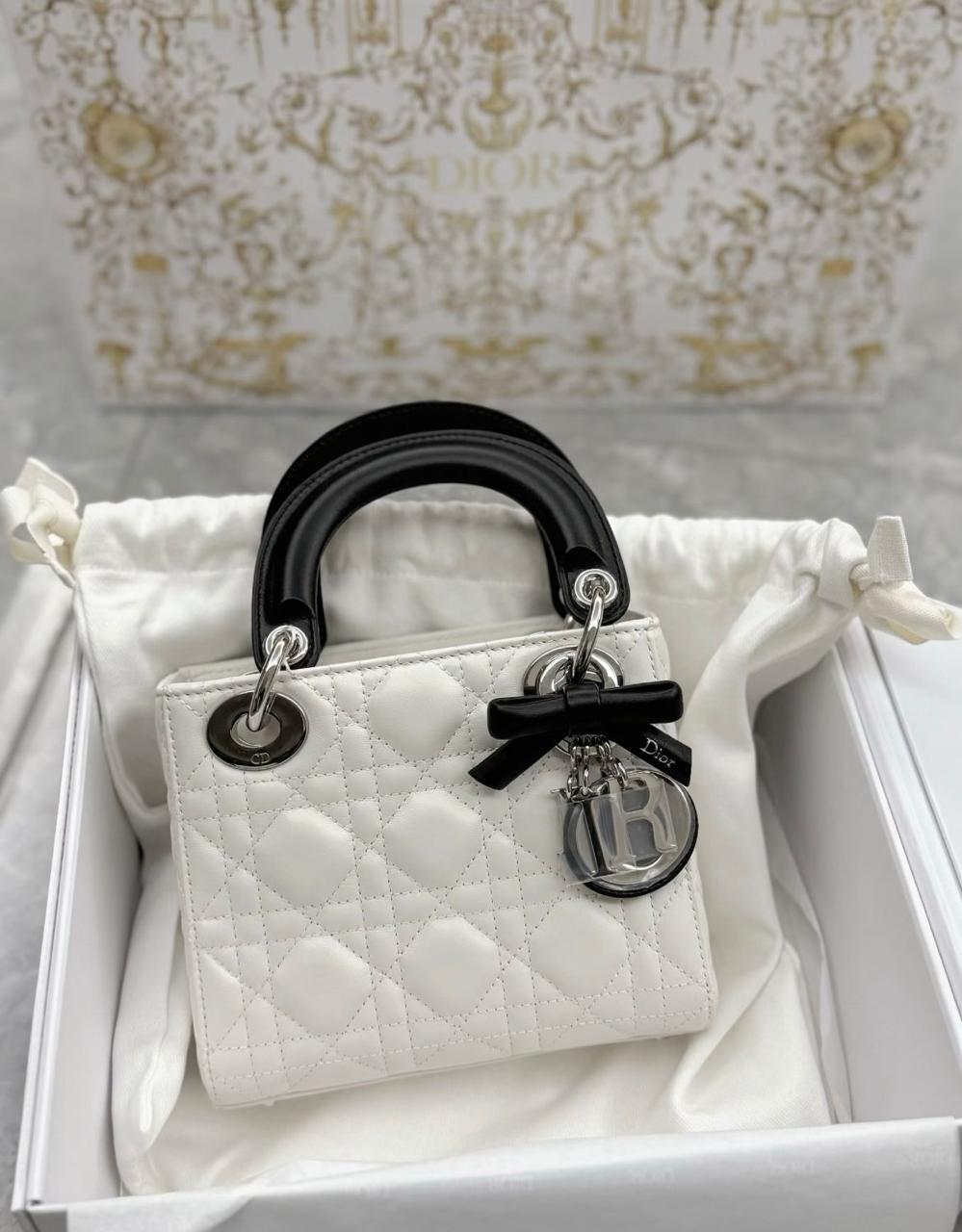 Ladies Dior bags Lilly Onlines