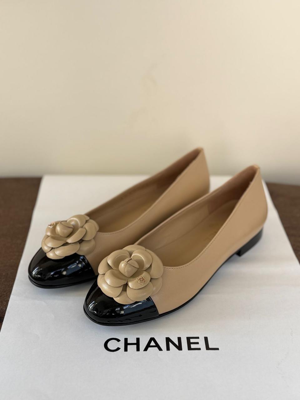 Ladies shoes Lilly Onlines