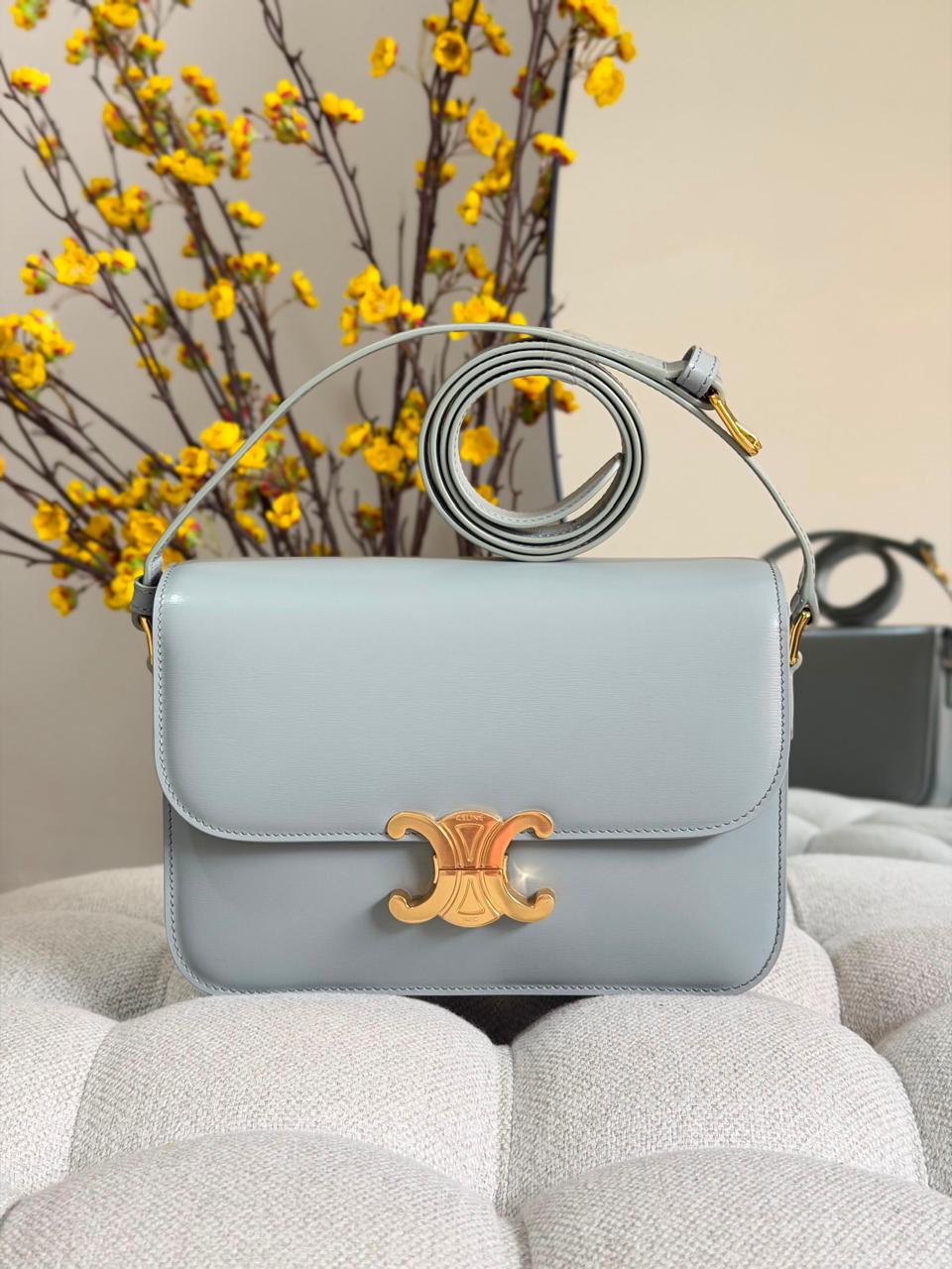Ladies Celine bags Lilly Onlines