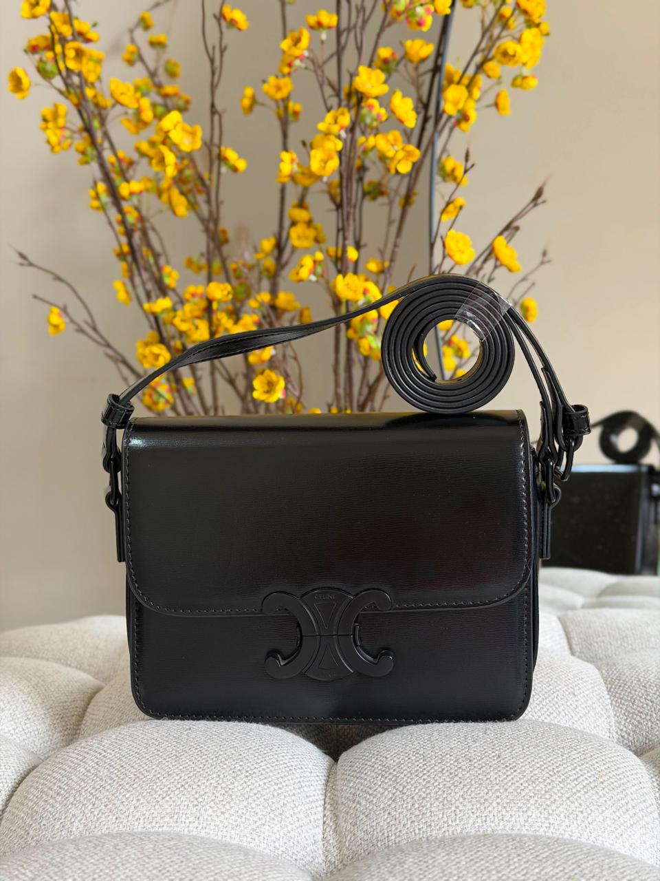 Ladies Celine bags Lilly Onlines
