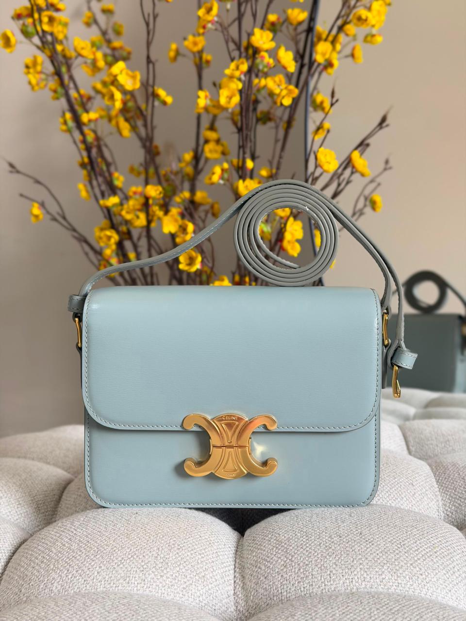 Ladies Celine bags Lilly Onlines