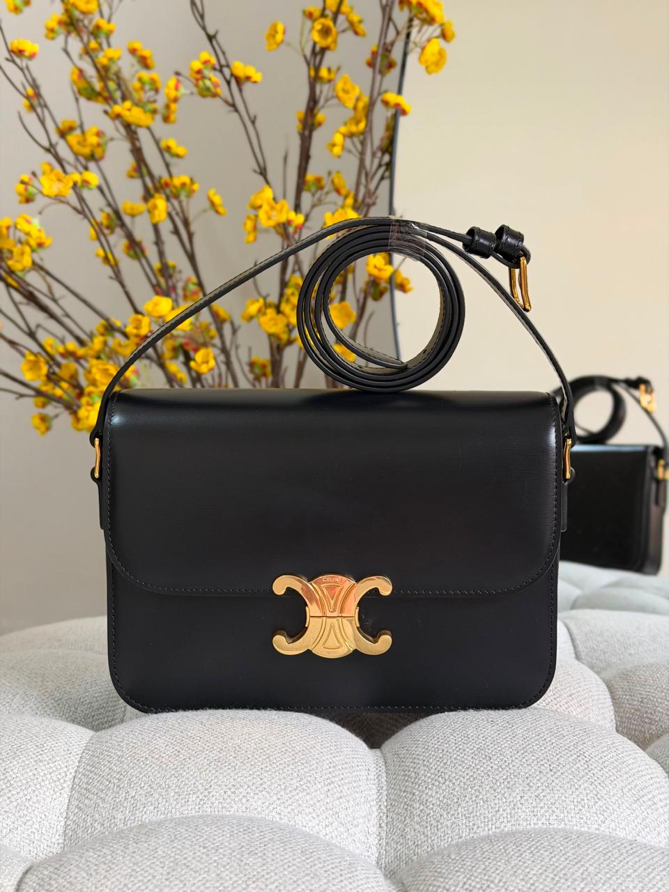 Ladies Celine bags Lilly Onlines