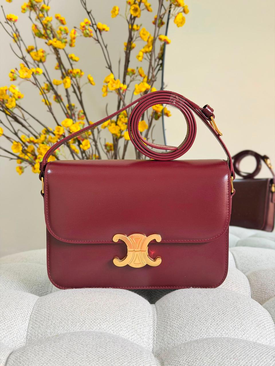 Ladies Celine bags Lilly Onlines